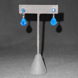 Blue Teardrop Dangle Earrings